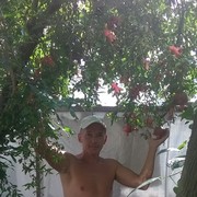 ���������� �������, ���� ������� �������, 50 ���, ������������ ��� ������, ����� � ���������, c�������� ���������