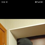  ,   , 46 ,   ,   , c , 