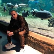 ���������� �����, ���� ������� �������, 31 ���, ������������ ��� ������, ����� � ���������, c�������� ���������, ���������