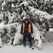 ���������� ������������, ���� ������� �����, 44 ����, ������������ ��� ����� � ���������, c�������� ���������, ���������