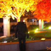 ���������� ������, ���� ������� ����, 43 ����, ������������ ��� ������