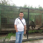 ���������� ������������, ���� ������� �������, 48 ���, ������������ ��� ������, ����� � ���������, c�������� ���������