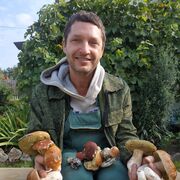  ,   , 99 ,   ,   , c , 