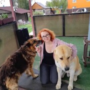 ���������� �����-��������, ���� ������� �������, 45 ���, ������������ ��� ������, ����� � ���������