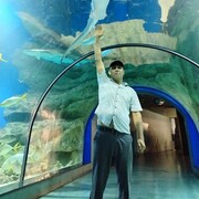 ���������� ������, ���� ������� ������, 39 ���, ������������ ��� ������, ����� � ���������