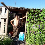  -,   , 40 ,   