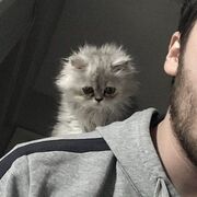 ���������� ���������������, ���� ������� ����, 26 ���, ������������ ��� c�������� ���������