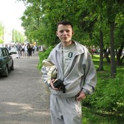 ���������� �����, ���� ������� ���������, 40 ���, ������������ ��� ������