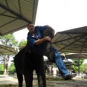  ,   , 53 ,   ,   , c 