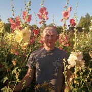 ���������� ��������, ���� ������� ����, 63 ����, ������������ ��� ������, ����� � ���������