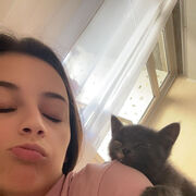 ���������� ��������, ���� ������� ����, 28 ���, ������������ ��� ������, ����� � ���������