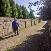  ,   , 46 ,   ,   , c 