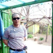  ,  Vantel31, 46