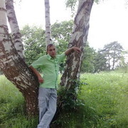 ���������� ����������� ����, ���� ������� ������, 41 ���, ������������ 