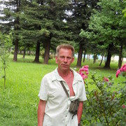  -,   , 72 ,   