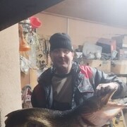 ���������� ������, ���� ������� A�������, 39 ���, ������������ ��� ������, ����� � ���������, c�������� ���������, ���������