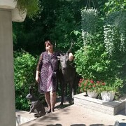 ���������� �����������, ���� ������� �������, 39 ���, ������������ ��� ������, ����� � ���������, c�������� ���������