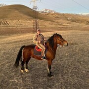  ,   , 30 ,     , 