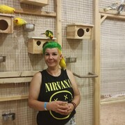 ���������� ������, ���� ������� ����, 43 ����, ������������ ��� ���������