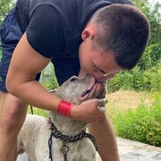 ���������� ������, ���� ����� �������, 25 ���, ������������ ��� ������, ���������