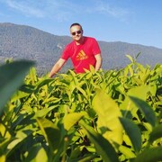 ���������� ������-��-����, ���� ������� �����, 37 ���, ������������ ��� ������, ����� � ���������