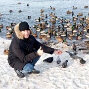 ���������� ������, ���� ������� �������, 38 ���, ������������ ��� ����� � ���������, c�������� ���������