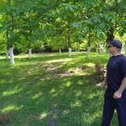  ,   , 51 ,   ,   