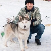 ���������� ���������, ���� ������� ���������, 38 ���, ������������ ��� ������, ����� � ���������, c�������� ���������