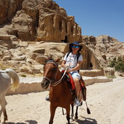  Ashqelon,   , 62 ,   ,   , c 
