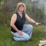 ���������� ������, ���� ������� Rox, 44 ����, ������������ ��� ������, ����� � ���������