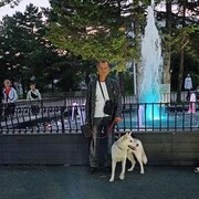  -,   , 45 ,   ,   