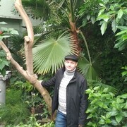 ���������� ������, ���� ������� ��������, 52 ����, ������������ ��� ����� � ���������, c�������� ���������, ���������