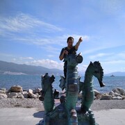 ���������� ���������, ���� ������� ������, 36 ���, ������������ ��� ������, ����� � ���������, c�������� ���������