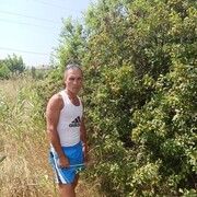 ���������� �����������, ���� ������� �������, 43 ����, ������������ ��� ������, ����� � ���������, c�������� ���������, ���������