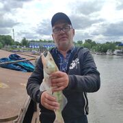  ,   , 57 ,   ,   