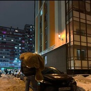 ���������� �����-���������, ���� ������� Tillo, 31 ���, ������������ ��� ������, ����� � ���������, c�������� ���������