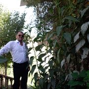  ,   , 57 ,     , c 