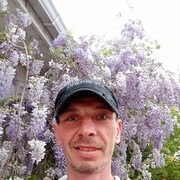  ,   , 43 ,  