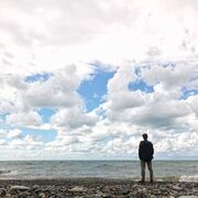 ���������� �������, ���� ������� Lado, 29 ���, ������������ ��� ������, ����� � ���������, c�������� ���������