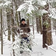 ���������� ������, ���� ������� �����, 37 ���, ������������ ��� ������, ����� � ���������