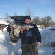 ���������� ������, ���� ������� �������, 56 ���, ������������ ��� ������, ����� � ���������, c�������� ���������, ���������