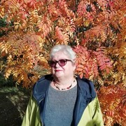 ���������� ������, ���� ������� �������, 71 ���, ������������ 