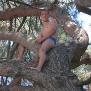  ,   , 40 ,  