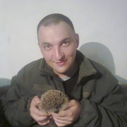 ,   Dester, 41 ,   ,   , c 