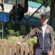  ,   Dima, 37 ,     , c 