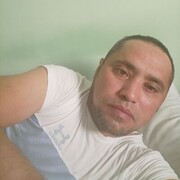  ,     , 43 ,   ,   