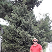  ,   , 44 ,  
