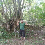 ���������� ���������, ���� ������� ���, 26 ���, ������������ ��� ������, ����� � ���������