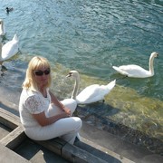  ,   Darling, 62 ,   ,   , c 