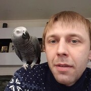  ,   , 37 ,   ,   , 